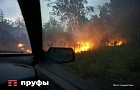 Жара держит спасателей в напряжении: в Башкирии за сутки – два ландшафтных пожара и новые трагедии на воде