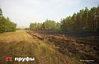 В Татышлинском районе 22 аграриям задержали ЗП в размере 320 тыс. рублей. Пришлось вмешаться СК