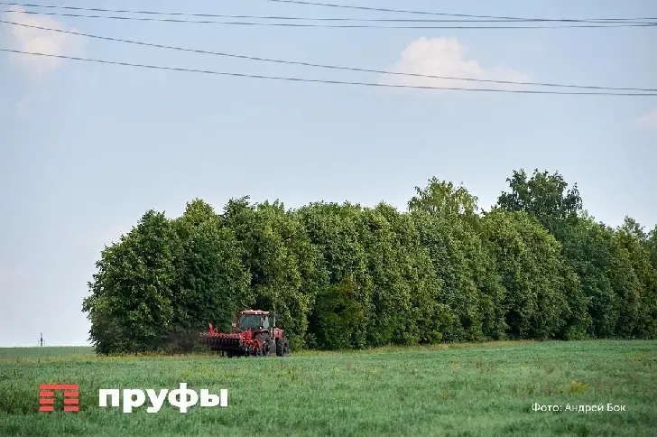 Из Башкирии вывозят всё больше зерна: куда уходят эшелоны башкирской продукции