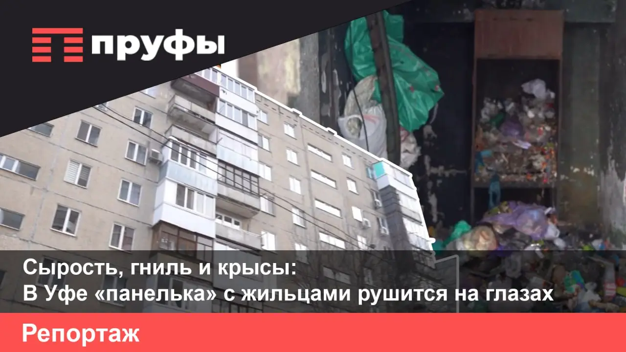Сырость, гниль и крысы: ужасная реальность жителей рушащегося дома в Уфе